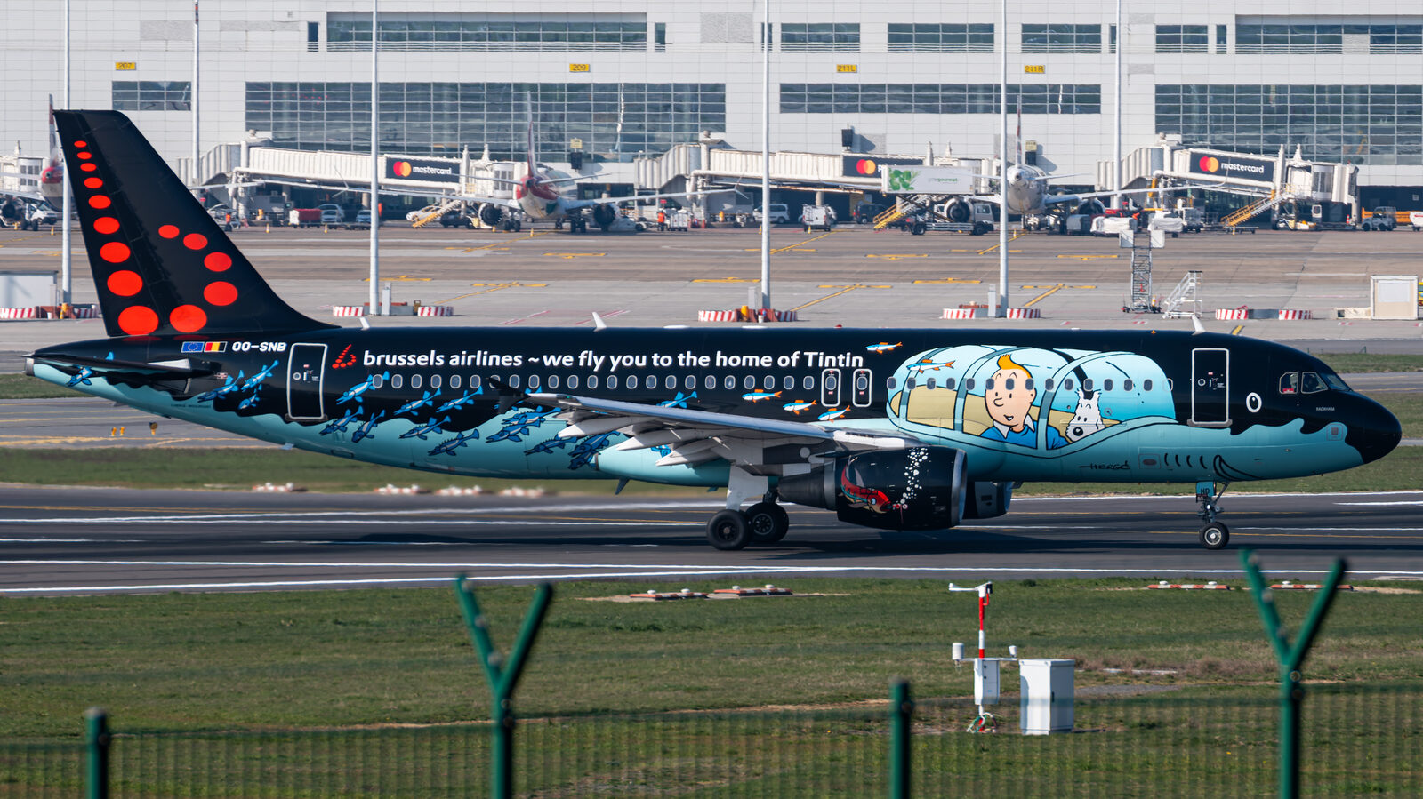 Airbus A320 Brussels Airlines OO-SNB en livrée spéciale Tintin Le Crabe aux pinces d'or au roulage à Bruxelles