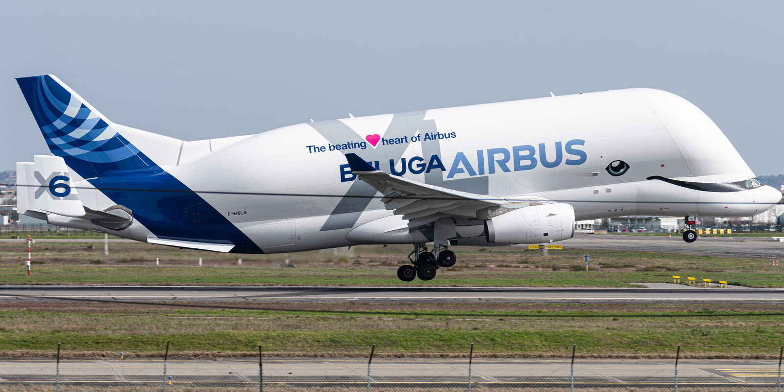 Airbus BelugaXL numéro 6 à l'atterrissage à Toulouse